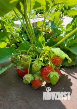 Дом 30м², 2-этажный, участок 10 сот.