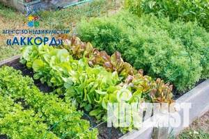 Дача 20м², 2-этажный, участок 6 сот.