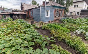 Дом 55м², 1-этажный, участок 4 сот.