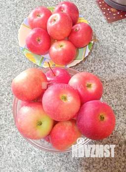 Дача 24м², 2-этажный, участок 8 сот.