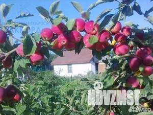 Дача 20м², 2-этажный, участок 6 сот.