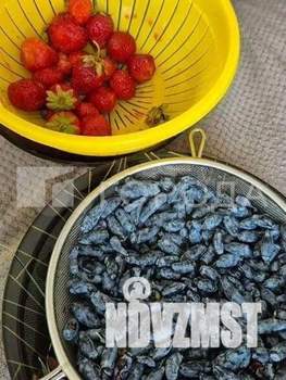 Дача 16м², 2-этажный, участок 6 сот.