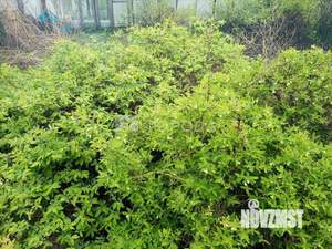 Дом 18м², 1-этажный, участок 9 сот.