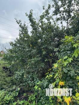 Дом 98м², 1-этажный, участок 11 сот.