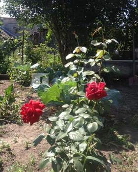 Дом 46м², 1-этажный, участок 3 сот.