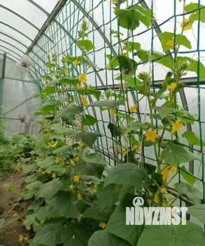 Коттедж 170м&sup2;, 2-этажный, на длительный срок, 