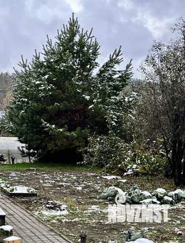 Дом 81м², 1-этажный, участок 11 сот.  