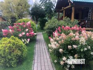 Дача 60м², 2-этажный, участок 8 сот.  