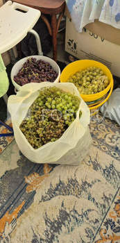 Дача 16м², 2-этажный, участок 6 сот.  