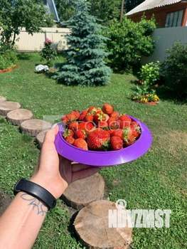 Дом 45м², 2-этажный, участок 6 сот.  