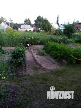 Дом 110м², 2-этажный, участок 5 сот.  