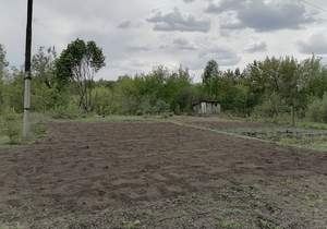 Дом 20м&sup2;, 1-этажный, участок 7 сот.  