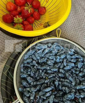 Дача 16м², 2-этажный, участок 6 сот.  