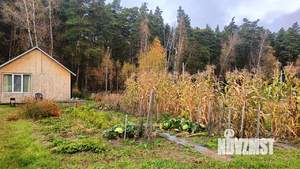 Дом 36м², 1-этажный, участок 9 сот.  