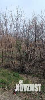 Дом 10м², 2-этажный, участок 6 сот.  
