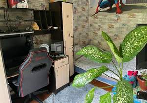 Дом 50м², 1-этажный, участок 20 сот.  