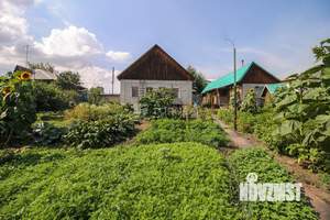 Дом 100м², 1-этажный, участок 14 сот.  