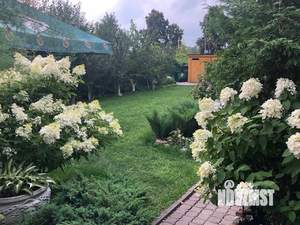 Дача 60м², 2-этажный, участок 8 сот.  