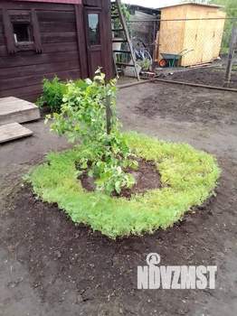 Дом 50м², 2-этажный, участок 6 сот.  