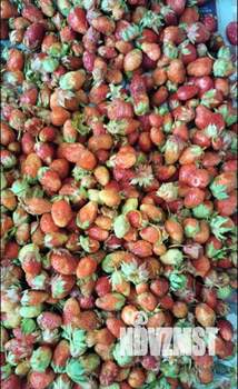 Дом 9м², 2-этажный, участок 6 сот.  