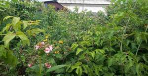 Дом 70м&sup2;, 1-этажный, участок 5 сот.  