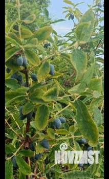 Дом 9м², 2-этажный, участок 6 сот.  