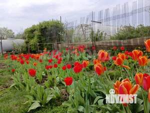 Дача 10м², 1-этажный, участок 6 сот.  