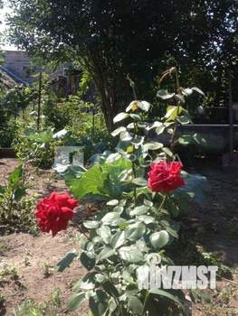 Дом 46м², 1-этажный, участок 3 сот.  