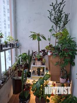 1-к квартира, на длительный срок, 30м2, 5/11 этаж