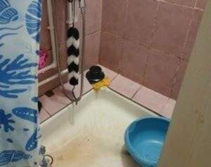 2-к квартира, на длительный срок, 39м2, 5/9 этаж