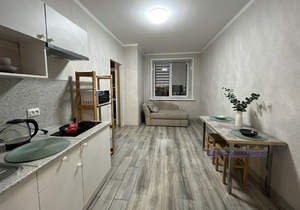 1-к квартира, на длительный срок, 29м2, 4/16 этаж