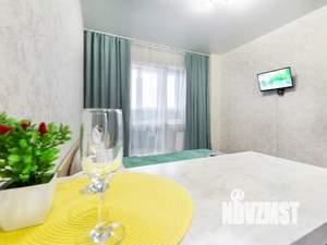 1-к квартира, посуточно, 24м2, 9/16 этаж