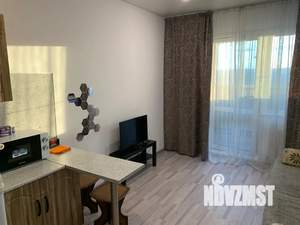 Студия квартира, посуточно, 21м2, 8/12 этаж