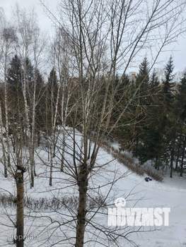 1-к квартира, на длительный срок, 30м2, 5/9 этаж