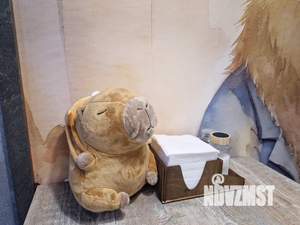 Студия квартира, посуточно, 30м2, 7/13 этаж