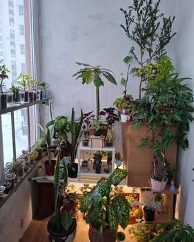 1-к квартира, на длительный срок, 30м2, 5/10 этаж