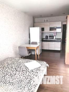 Студия квартира, посуточно, 29м2, 8/14 этаж