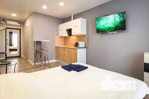 Студия квартира, посуточно, 24м2, 13/16 этаж