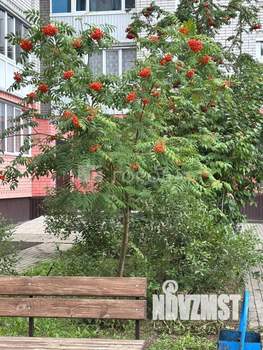 1-к квартира, вторичка, 38м2, 5/12 этаж