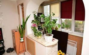 2-к квартира, вторичка, 50м2, 5/9 этаж