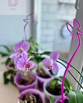 3-к квартира, вторичка, 97м2, 14/15 этаж