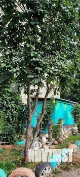 1-к квартира, вторичка, 37м2, 1/5 этаж