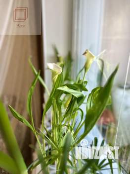 2-к квартира, вторичка, 50м2, 6/10 этаж