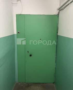 1-к квартира, вторичка, 32м2, 10/10 этаж