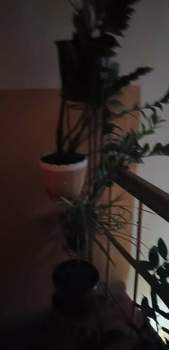 2-к квартира, вторичка, 44м2, 2/2 этаж