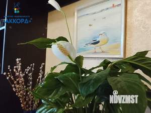 2-к квартира, вторичка, 51м2, 1/9 этаж