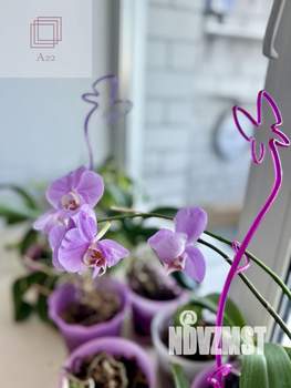 3-к квартира, вторичка, 97м2, 14/15 этаж