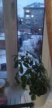 2-к квартира, вторичка, 44м2, 2/2 этаж